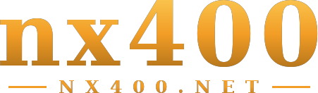 nx400 logo